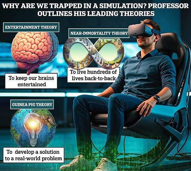 حیات شبیهسازیشده