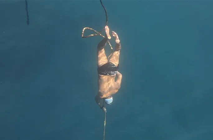 والدمار برودرر