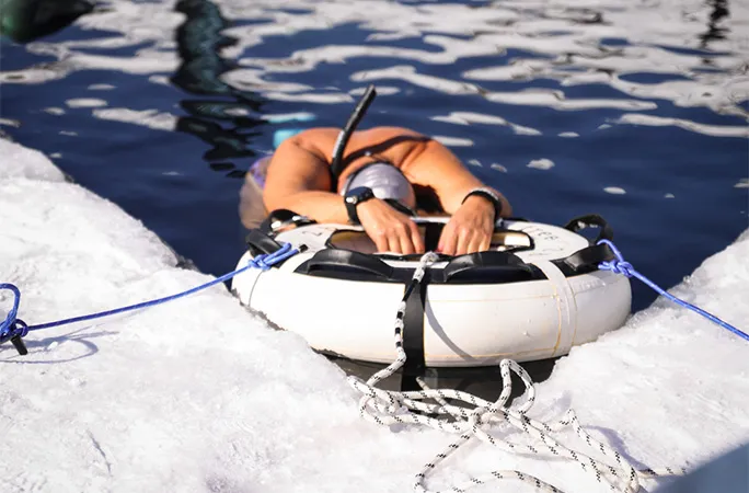 والدمار برودرر