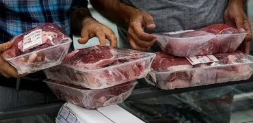 جزئیات کشف ۳ تن گوشت الاغ و قاطر با برچسب «گوساله منجمد برزیلی» در تهران