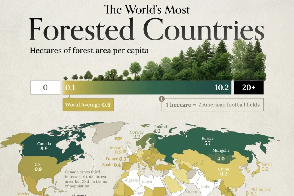 وضعیت کشورهای جهان بر اساس سهم هر نفر از جنگل‌ها + اینفوگرافیک و جایگاه ایران