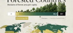 سرانه جنگل در کشورهای جهان