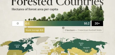 وضعیت کشورهای جهان بر اساس سهم هر نفر از جنگل‌ها + اینفوگرافیک و جایگاه ایران