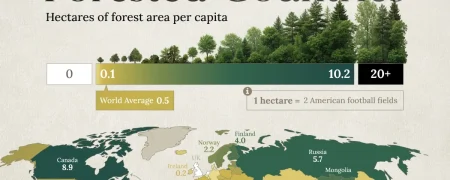 وضعیت کشورهای جهان بر اساس سهم هر نفر از جنگل‌ها + اینفوگرافیک و جایگاه ایران