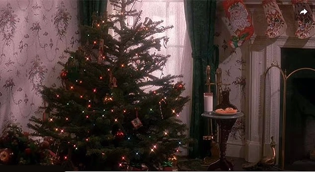 فیلم تنها در خانه