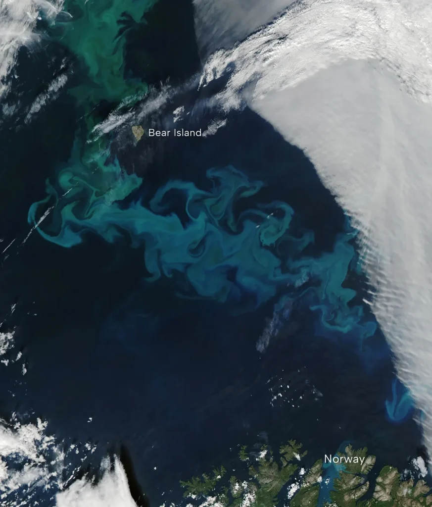 شکوفایی فیتوپلانکتون‌ها در دریای بارنتز