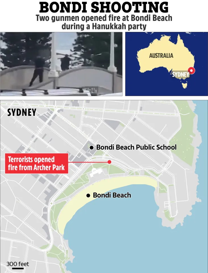 تیراندازی سیدنی