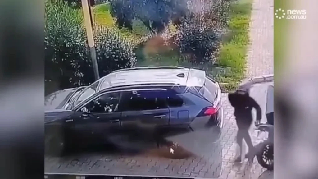 سارقان مسلح ترکیه ای