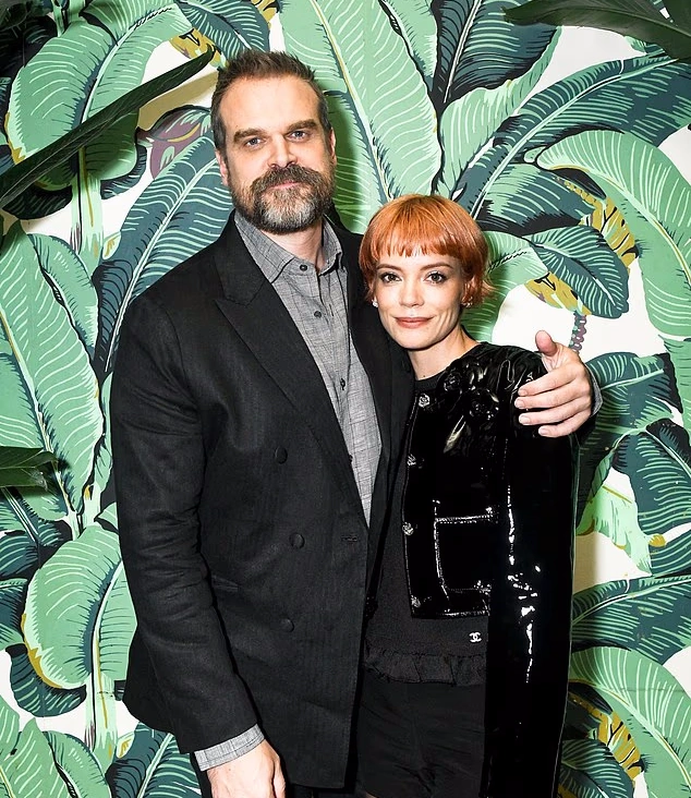 لی‌لی آلن و دیوید هاربر 