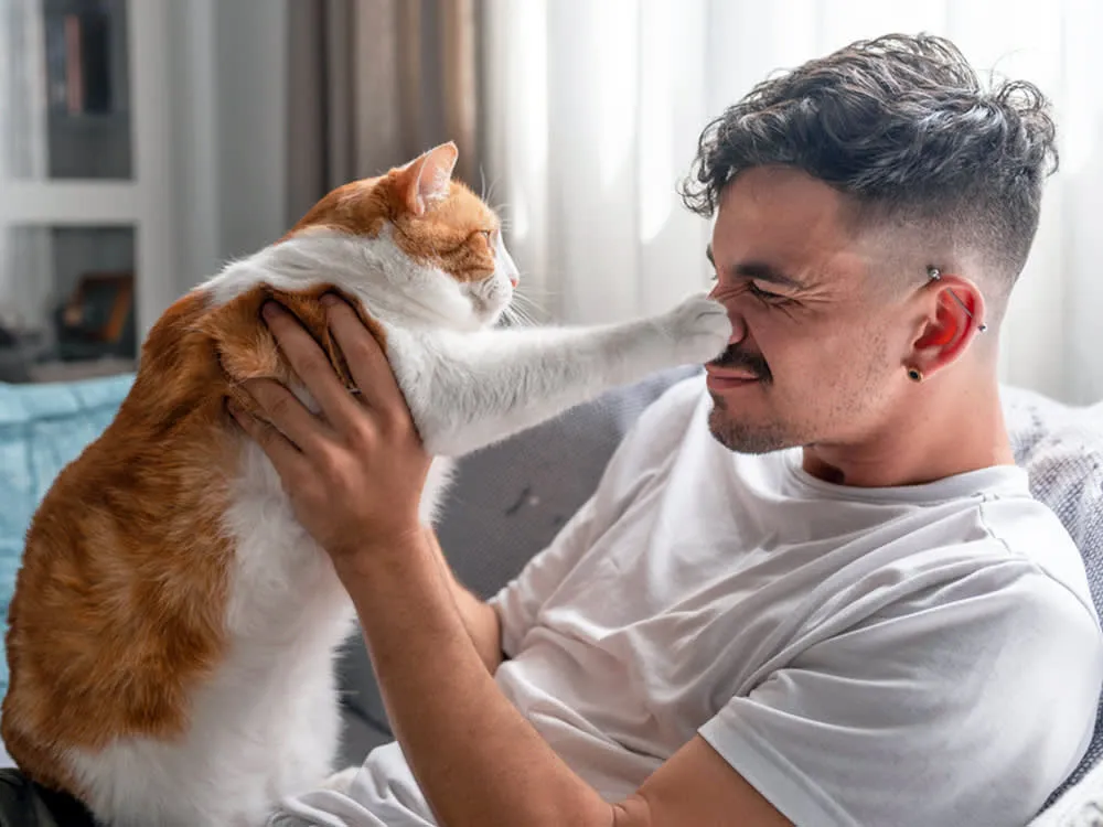 رفتار گربه ها