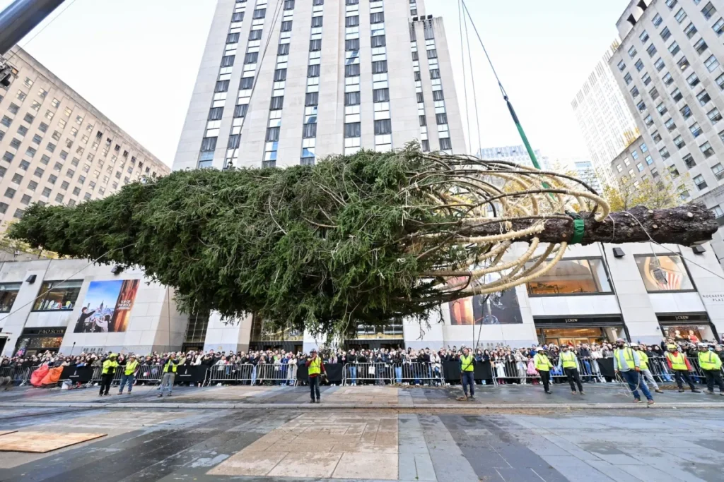 درخت کریسمس