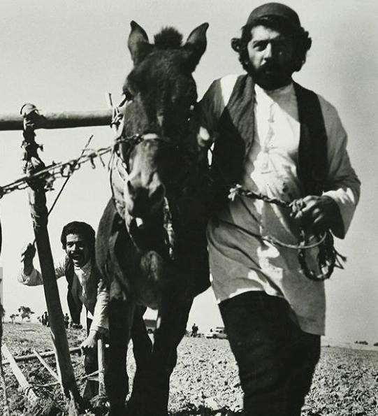 فرامرز قریبیان