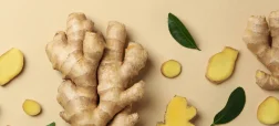 زنجبیل از افسانه تا واقعیت؛ فواید اثبات‌شده و حقیقت درباره‌ خاصیت درمانی آن