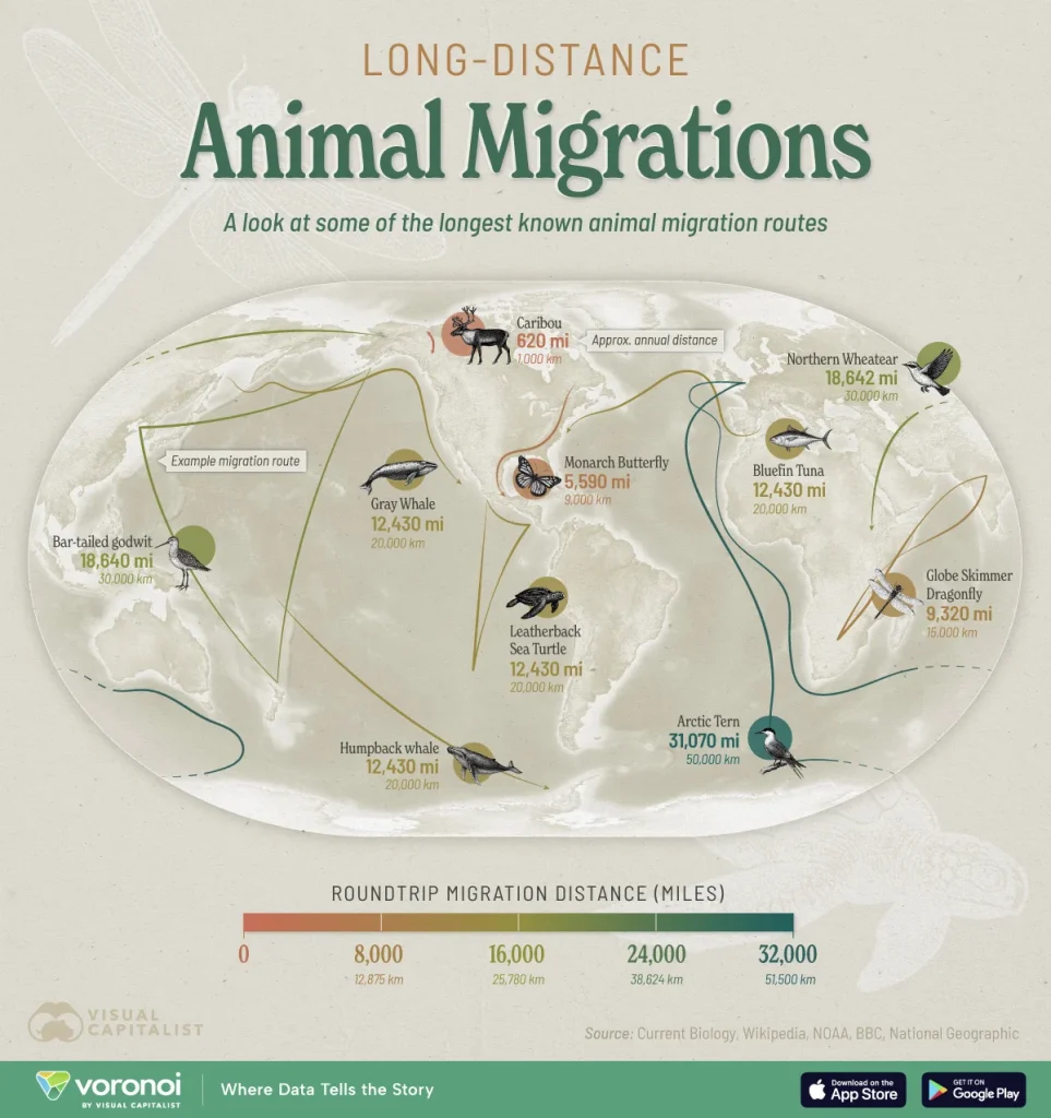migrationroutes-revised_newdata-web-963x1024.webp