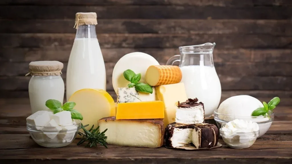 milk-dairy.jpg-1024x576.webp