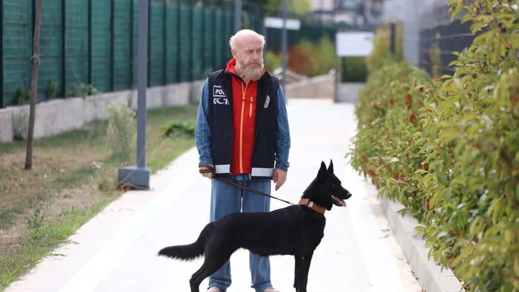 سریال ترکی مشکلساز