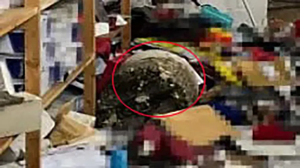 سرقت بانک اشپارکاسه