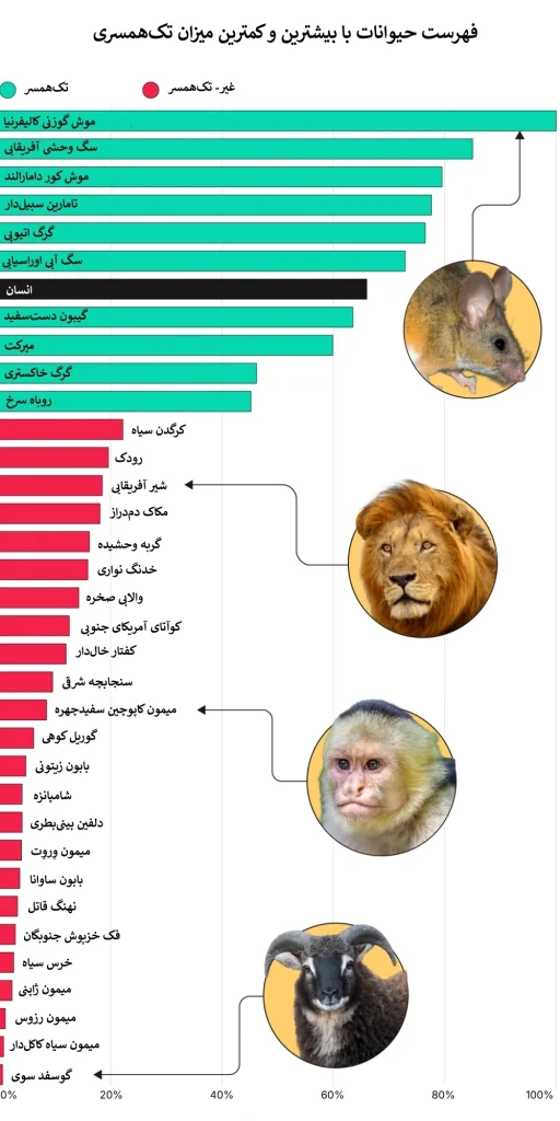 تکهمسری در گونههای مختلف