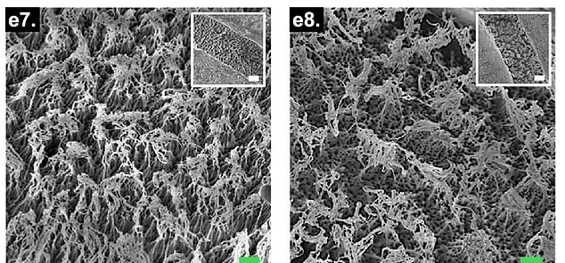 تیره‌ترین پارچه جهان