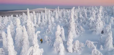 راز سفیدی برف چیست؟ بررسی علمی یک پدیده‌ طبیعی