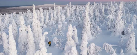 راز سفیدی برف چیست؟ بررسی علمی یک پدیده‌ طبیعی