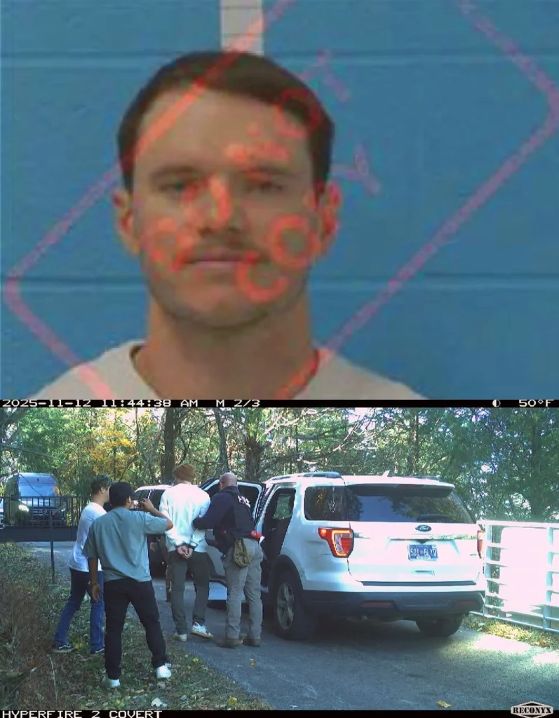 کودی دتوایلر، یوتیوبر