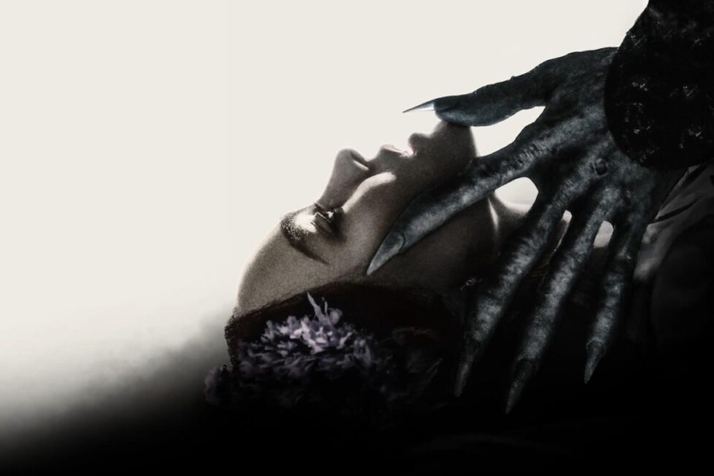 نوسفراتو ۲۰۲۴