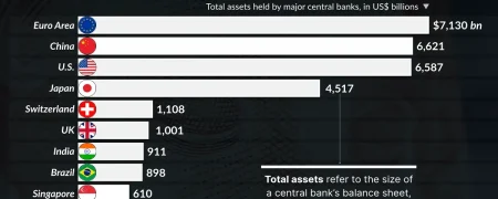 ۲۰ بانک مرکزی کشورهای جهان که بیشترین مقدار ثروت و دارایی را دارند + اینفوگرافی