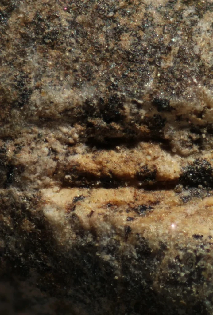 مصرف گوشت سگ در اروپای باستان