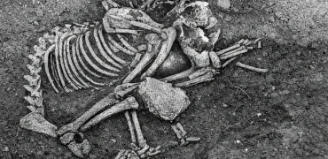 شواهد باستان‌شناسان از مصرف گوشت سگ در اروپا در عصر آهن به عنوان آیینی گروهی