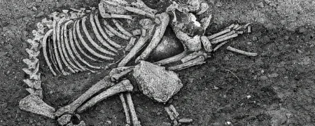 شواهد باستان‌شناسان از مصرف گوشت سگ در اروپا در عصر آهن به عنوان آیینی گروهی