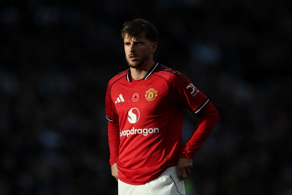 میسون ماونت