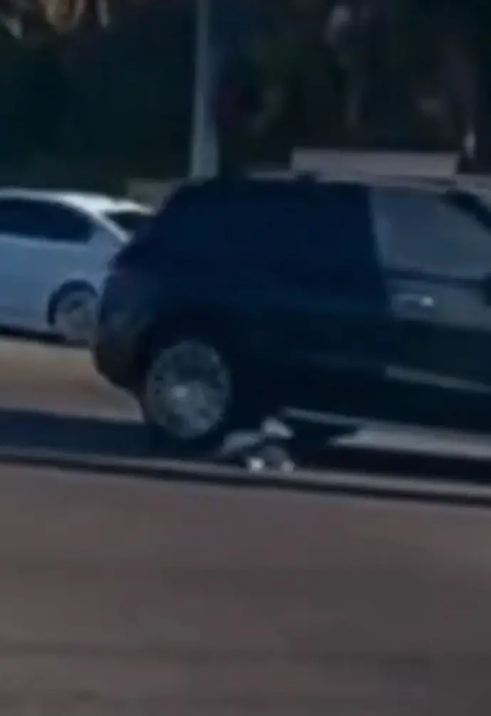 سقوط کودک نوپا از ماشین در حال حرکت در کالیفرنیا