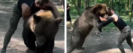 کشتی بوکسور سنگین‌وزن روس با خرس ۴۰۰ کیلویی قبل از مبارزه با تایسون فیوری + ویدیو