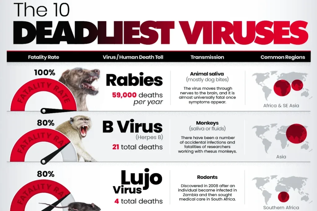 مرگبارترین ویروس‌های جهان بر اساس نرخ مرگ پس از ابتلا + اینفوگرافی