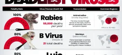 مرگبارترین ویروس‌های جهان بر اساس نرخ مرگ پس از ابتلا + اینفوگرافی