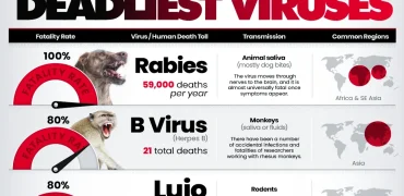 مرگبارترین ویروس‌های جهان بر اساس نرخ مرگ پس از ابتلا + اینفوگرافی