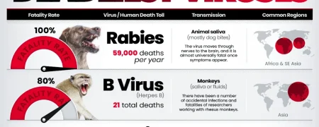 مرگبارترین ویروس‌های جهان بر اساس نرخ مرگ پس از ابتلا + اینفوگرافی