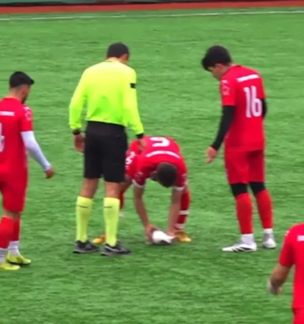 احیای قلبی مرغ دریایی در زمین فوتبال