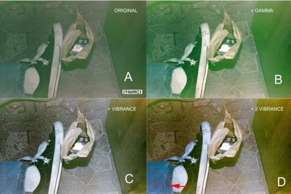 صحنه قتل کرت کوبین