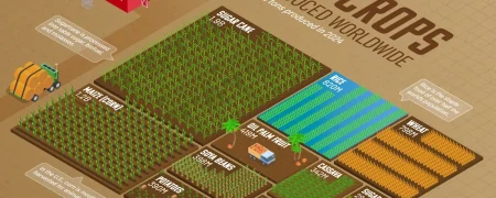 مقدار برداشت محصولات کشاورزی اصلی در سال ۲۰۲۴ در سراسر جهان + اینفوگرافی