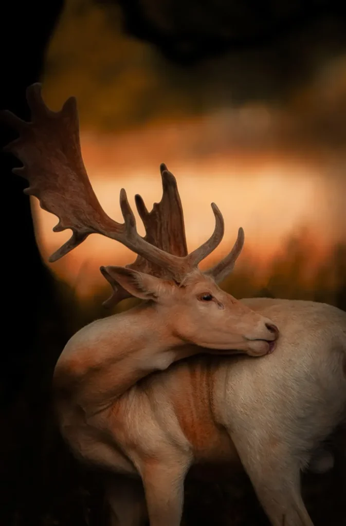 بهترین عکس های جهان