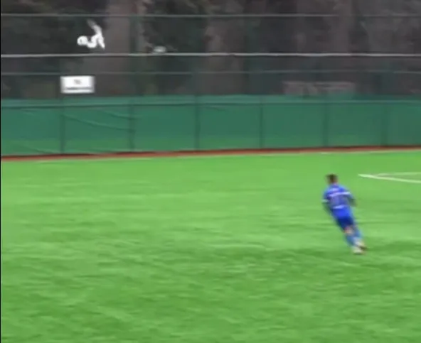 برخورد توپ با مرغ دریایی در ترکیه