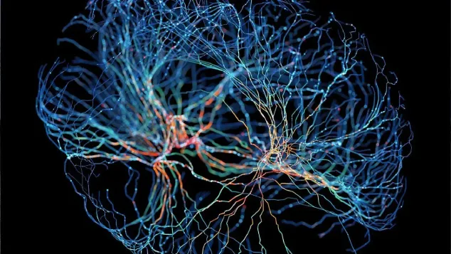 آگاهی پس از مرگ