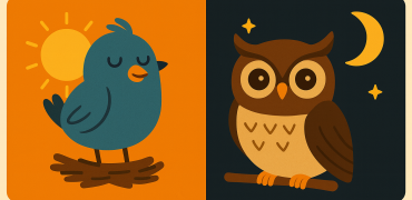 دانشمندان پنج تیپ متفاوت خواب انسان را شناسایی کردند؛ شما کدام یک هستید؟