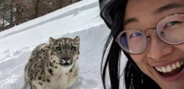 تلاش زن اسکی‌باز برای گرفتن سلفی با پلنگ برفی در چین به قیمت جان + ویدیو