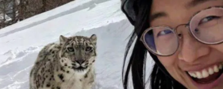 تلاش زن اسکی‌باز برای گرفتن سلفی با پلنگ برفی در چین به قیمت جان + ویدیو
