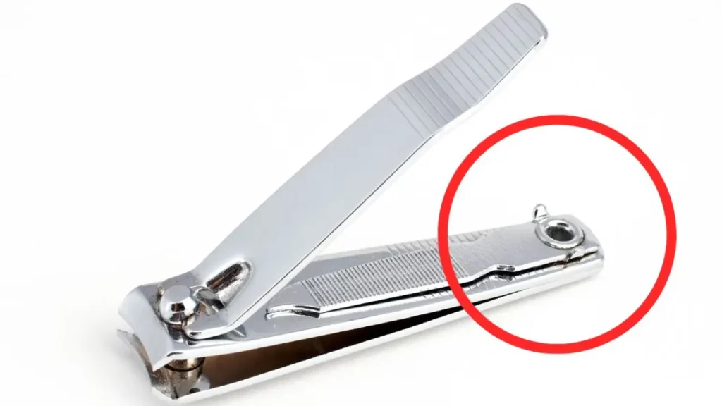 کاربران فضای مجازی از کاربرد سوراخ کوچک روی ناخن‌گیر متعجب شدند: «واقعا نمی‌دانستم!»