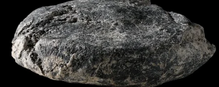 کشف نان ۲,۰۰۰ ساله متعلق به رومیان باستان در یک کمپ نظامی مشهور در سوئیس