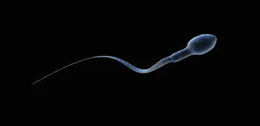 المپیک سرعت اسپرم‌ها در سان‌فرانسیسکو؛ ثبت ‌نام ۱۰,۰۰۰ مرد برای جایزه ۱۰۰ هزار دلاری